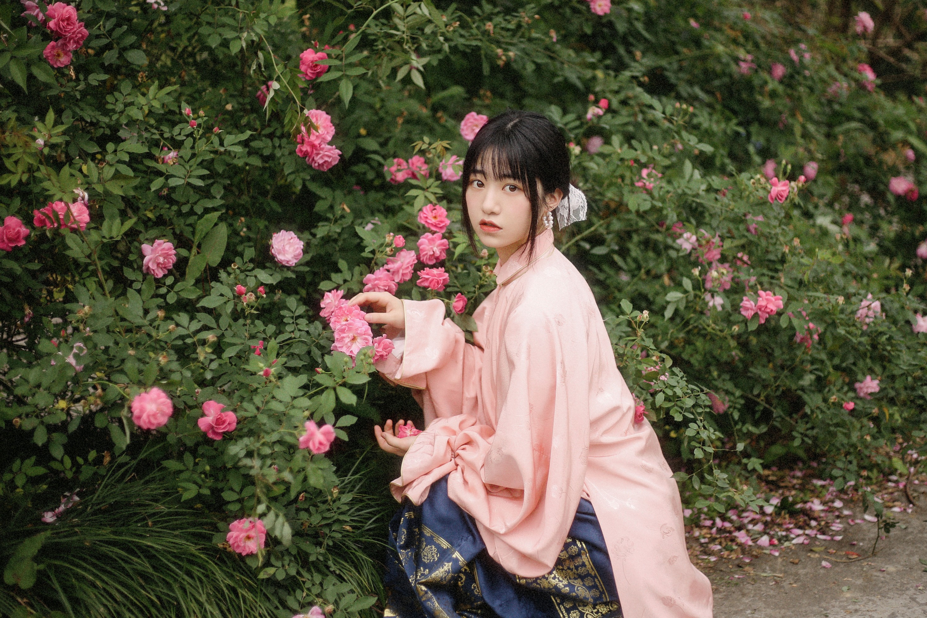 panniling – 《蔷薇花开》[30P] 插图4