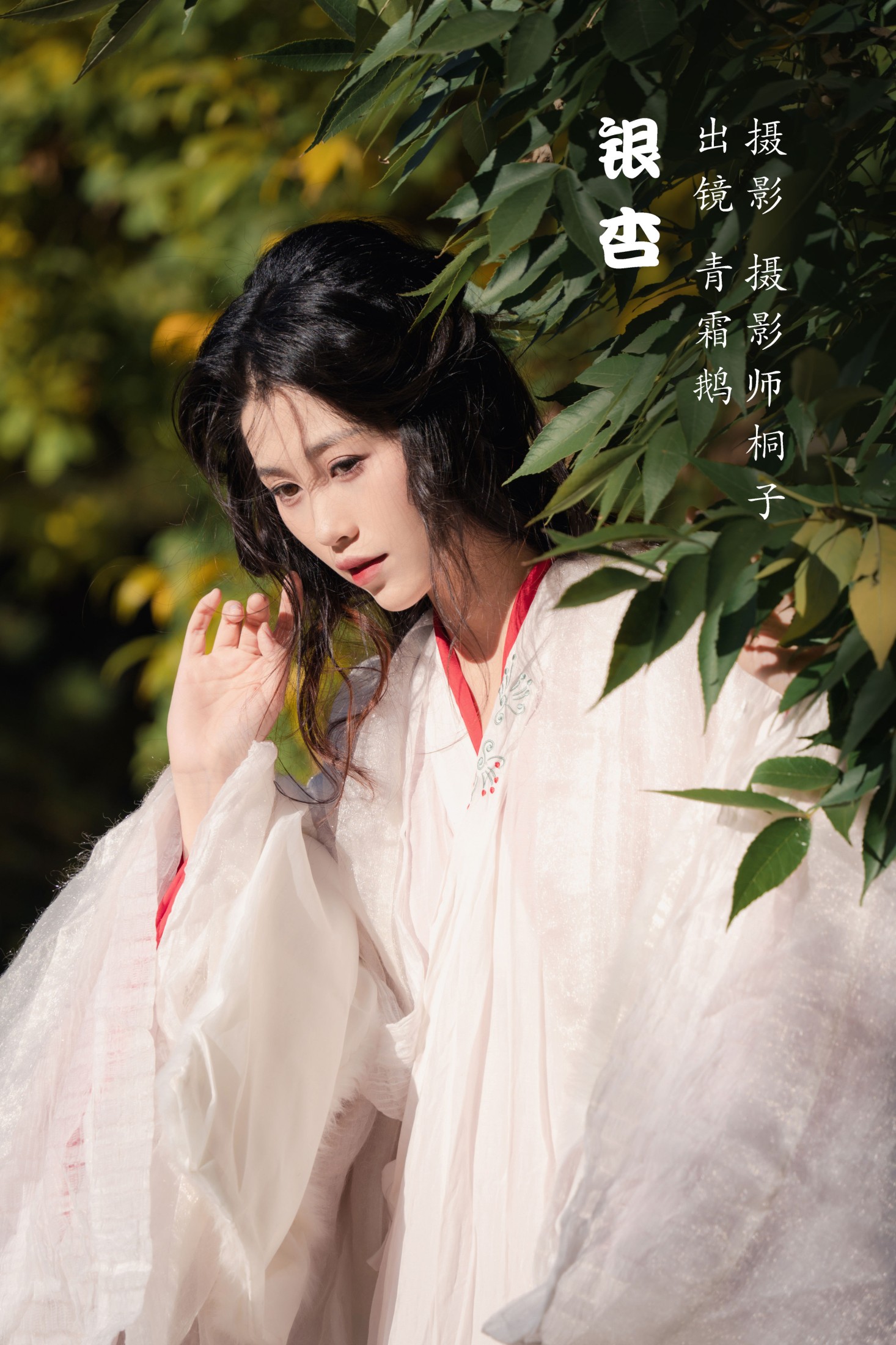 青霜鹅 – 《银杏》[26P] 插图1