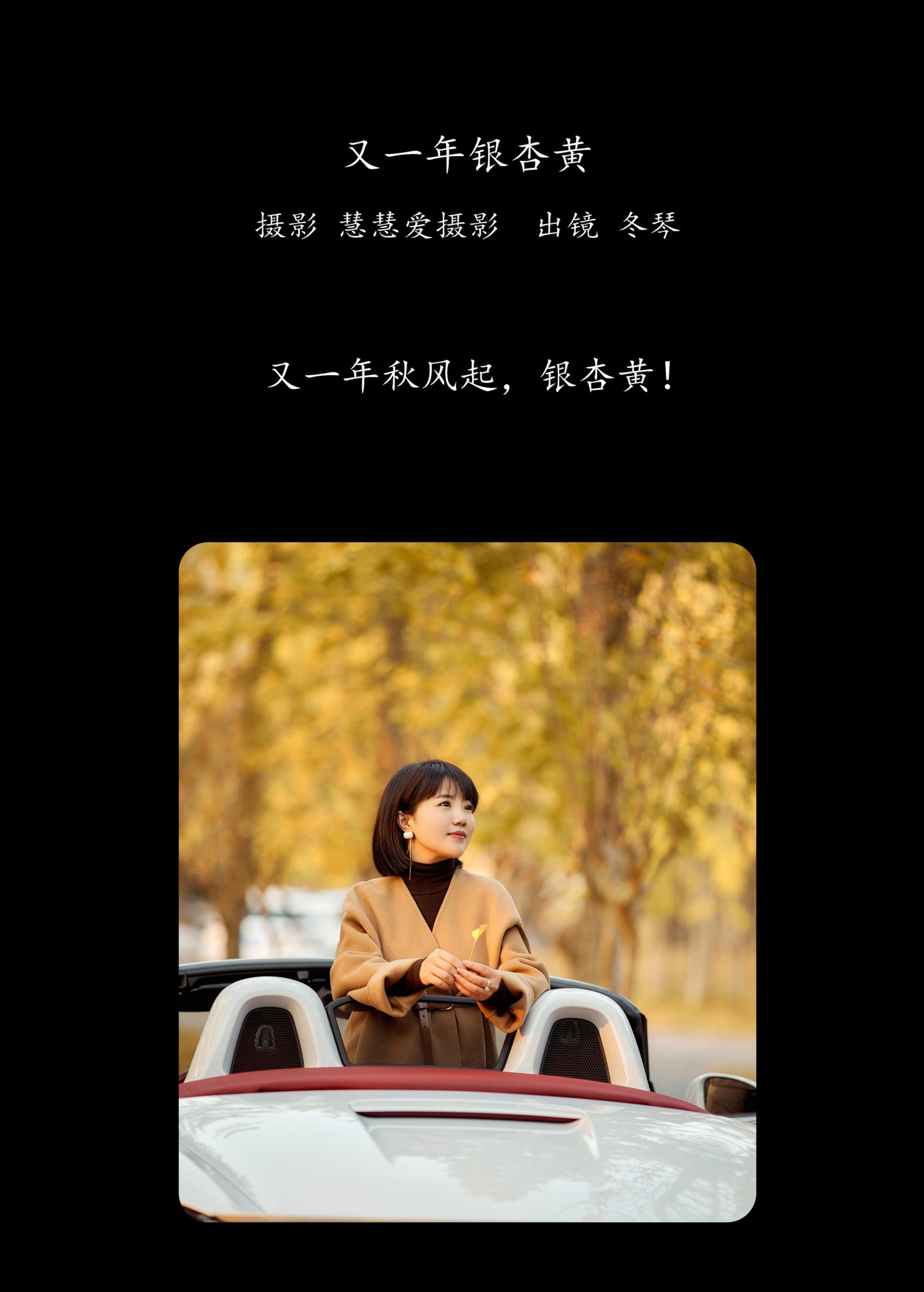冬琴 – 《又一年银杏黄》[35P] 插图2