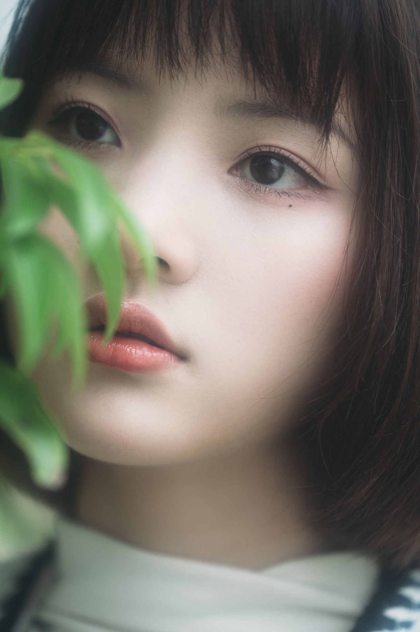 阿喵的饭饭 – 《美梦与诗歌》[27P] 插图4