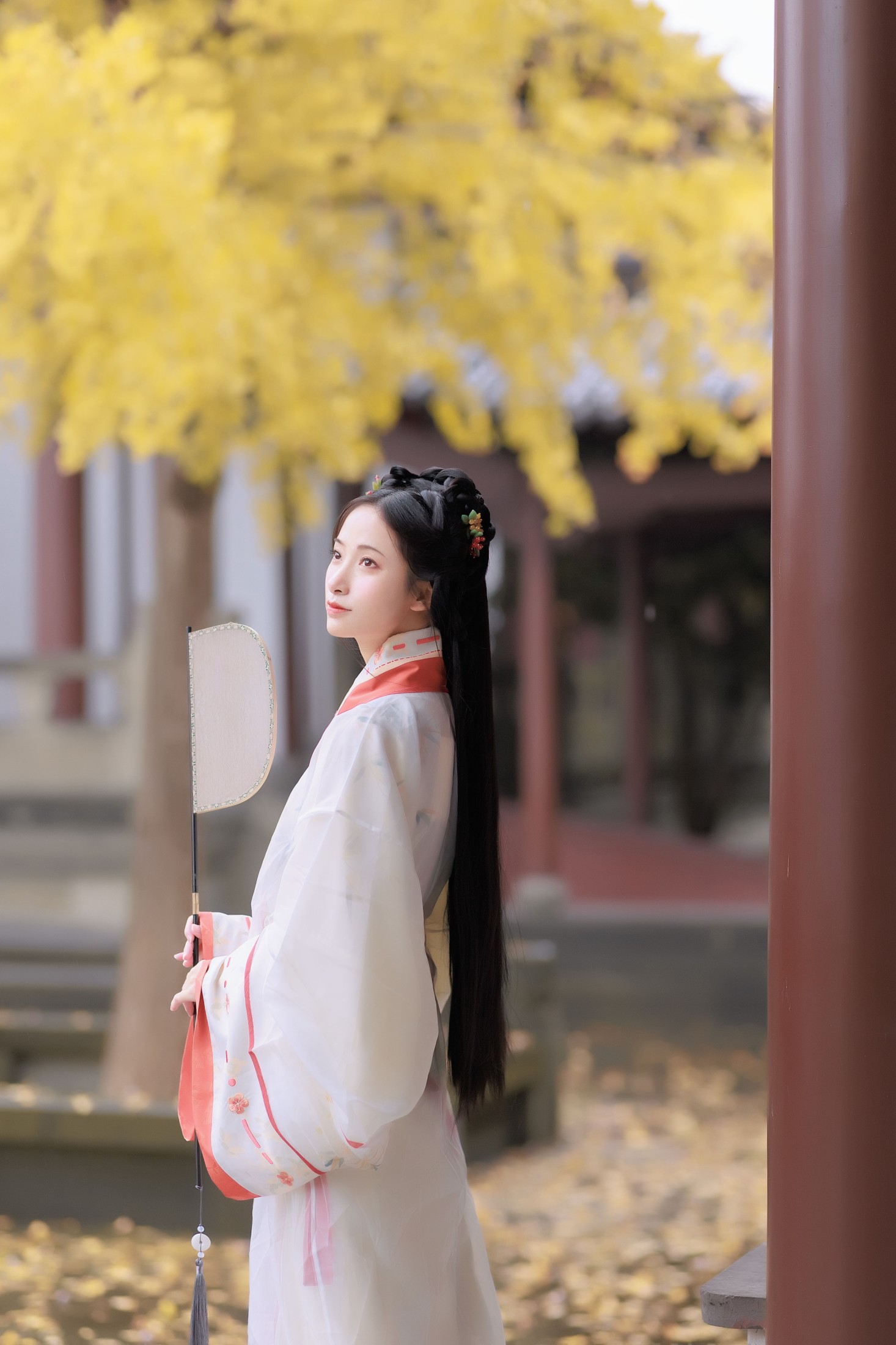 眸小妖 – 《雨中银杏》[24P] 插图4