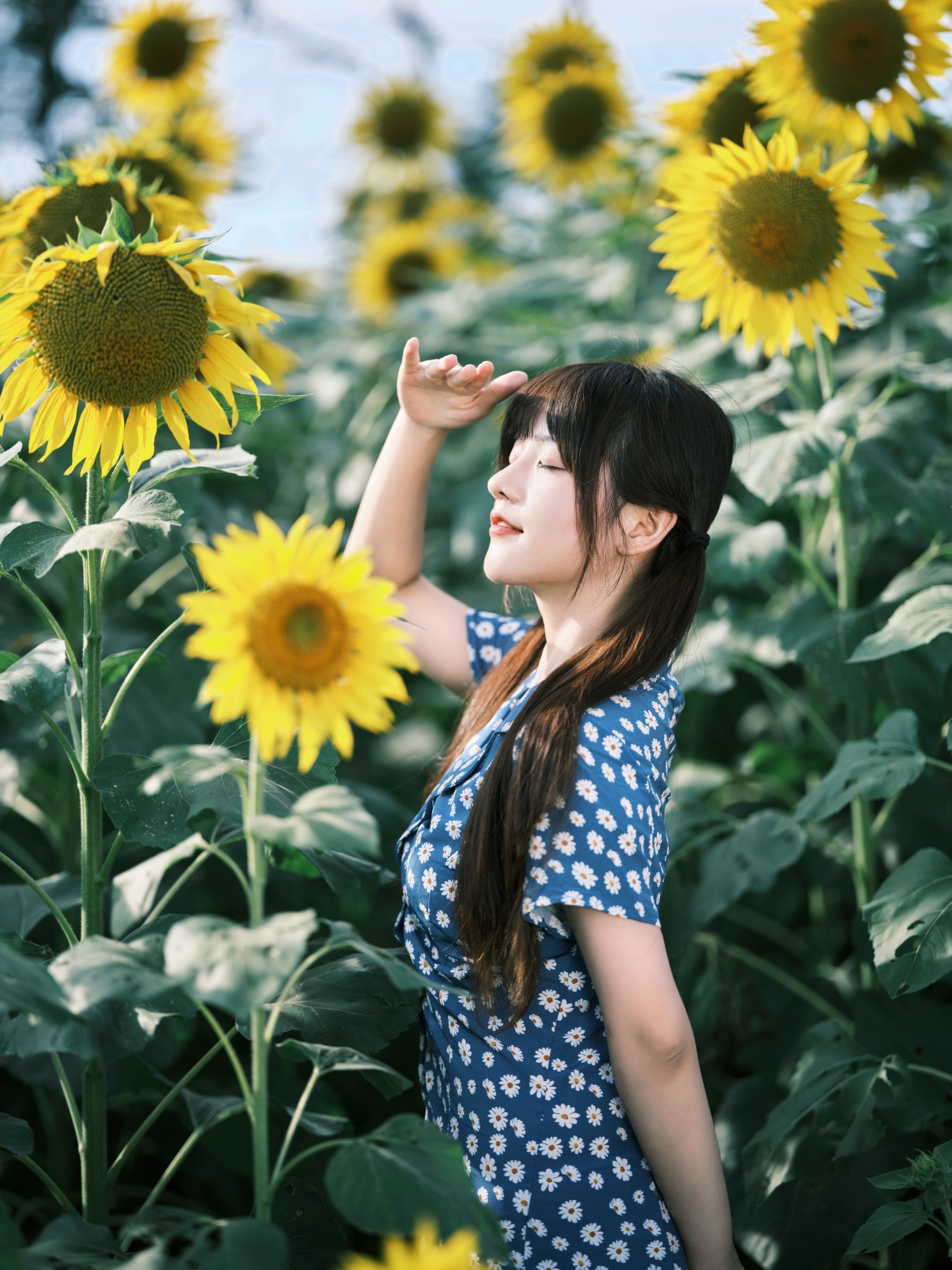 宵宵喵 – 《向日葵》[28P] 插图5