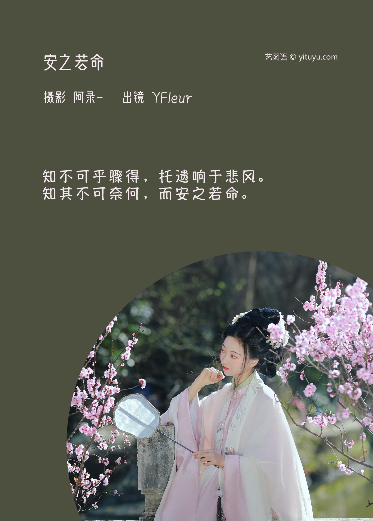 与芳 – 《安之若命》[33P] 插图2