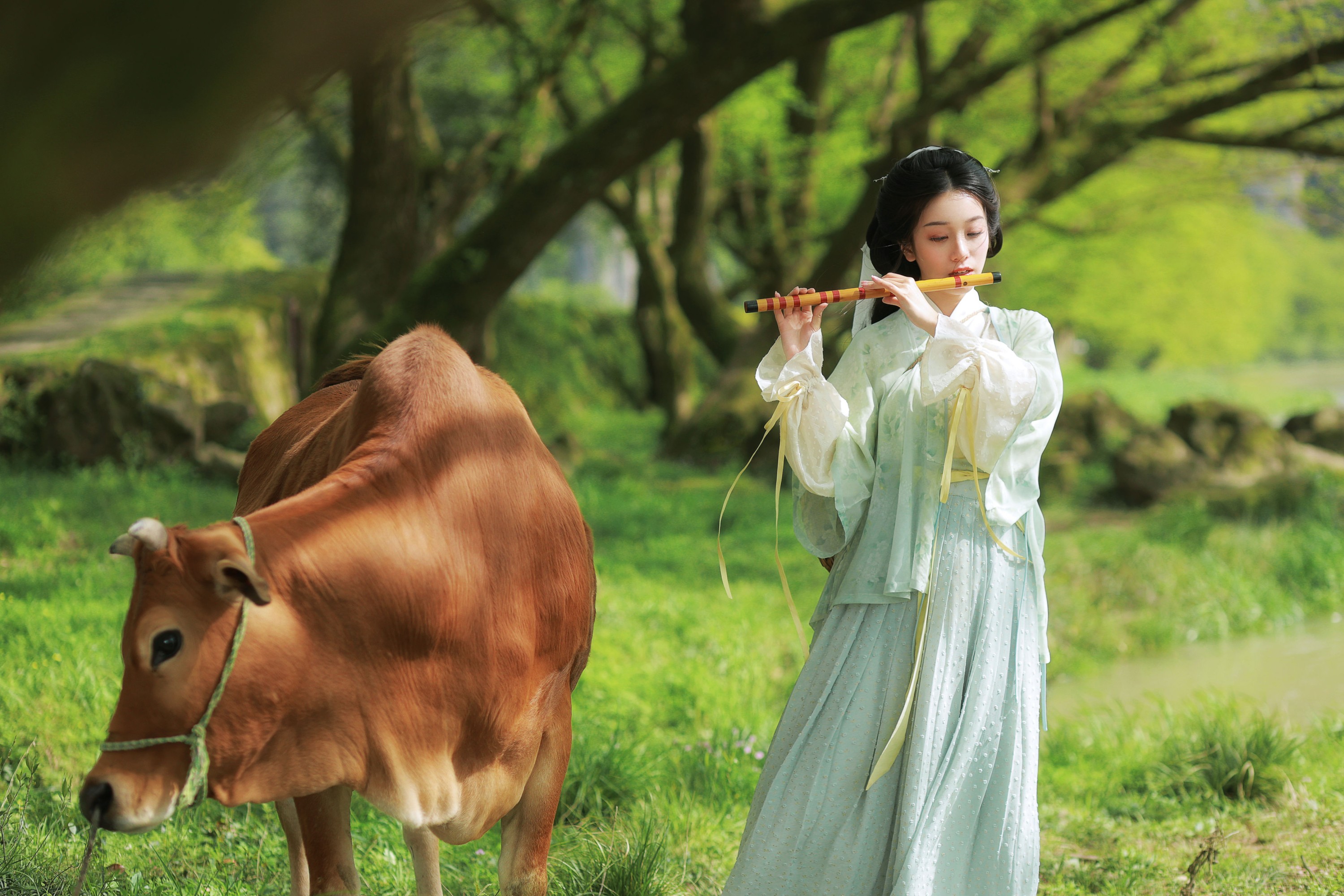 小清菡呀  – 《 牧牛》[22P] 插图5