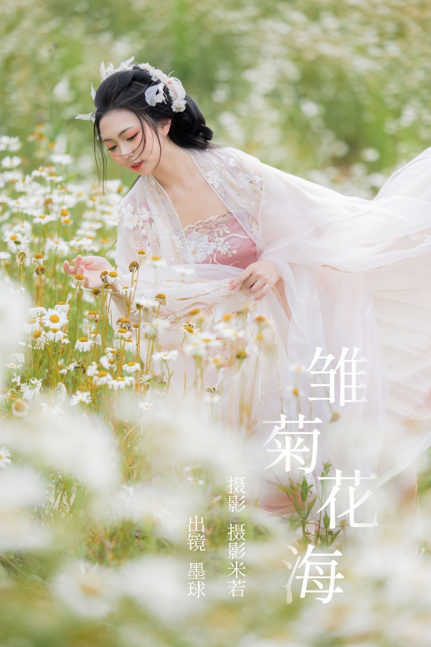阡墨红尘 – 《雏菊花海》[23P] 插图1