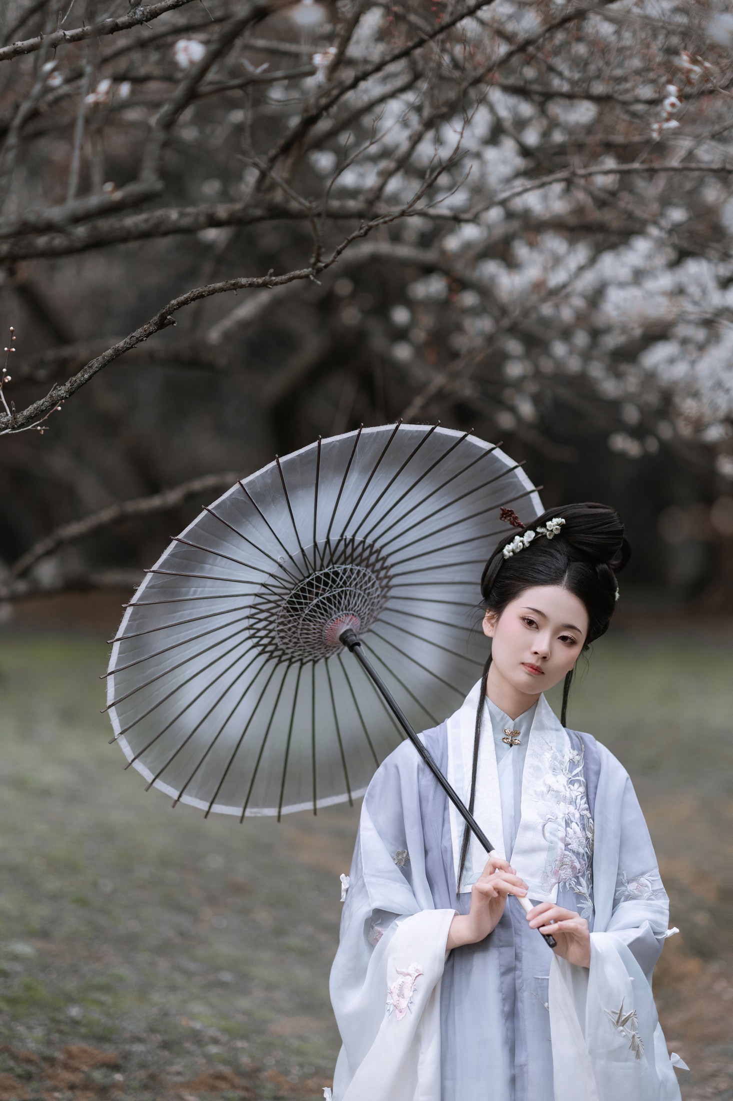 汀贰 – 《问梅》[32P] 插图4
