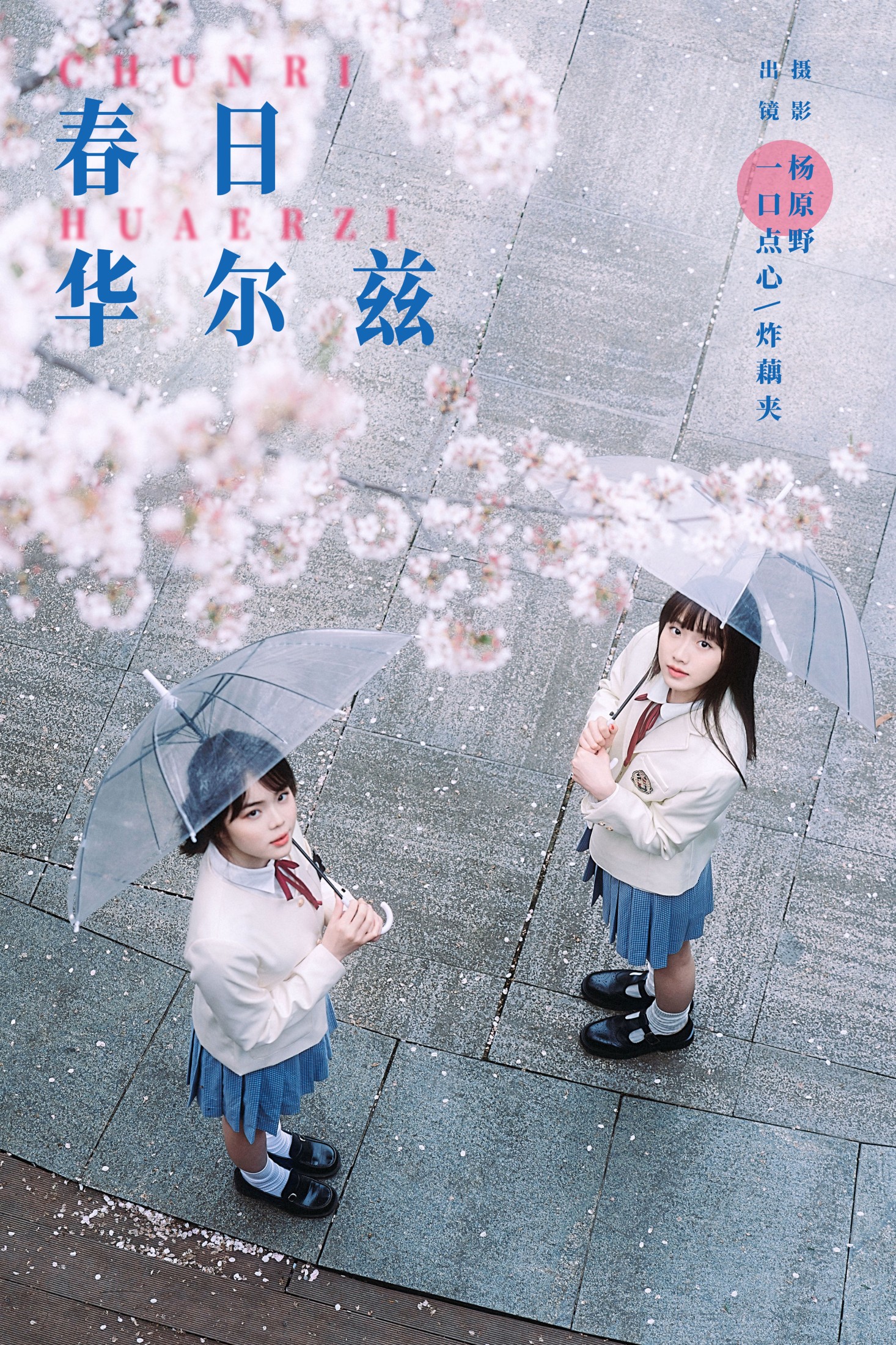 一口点心 炸藕夹 – 《春日华尔兹》[20P] 插图1