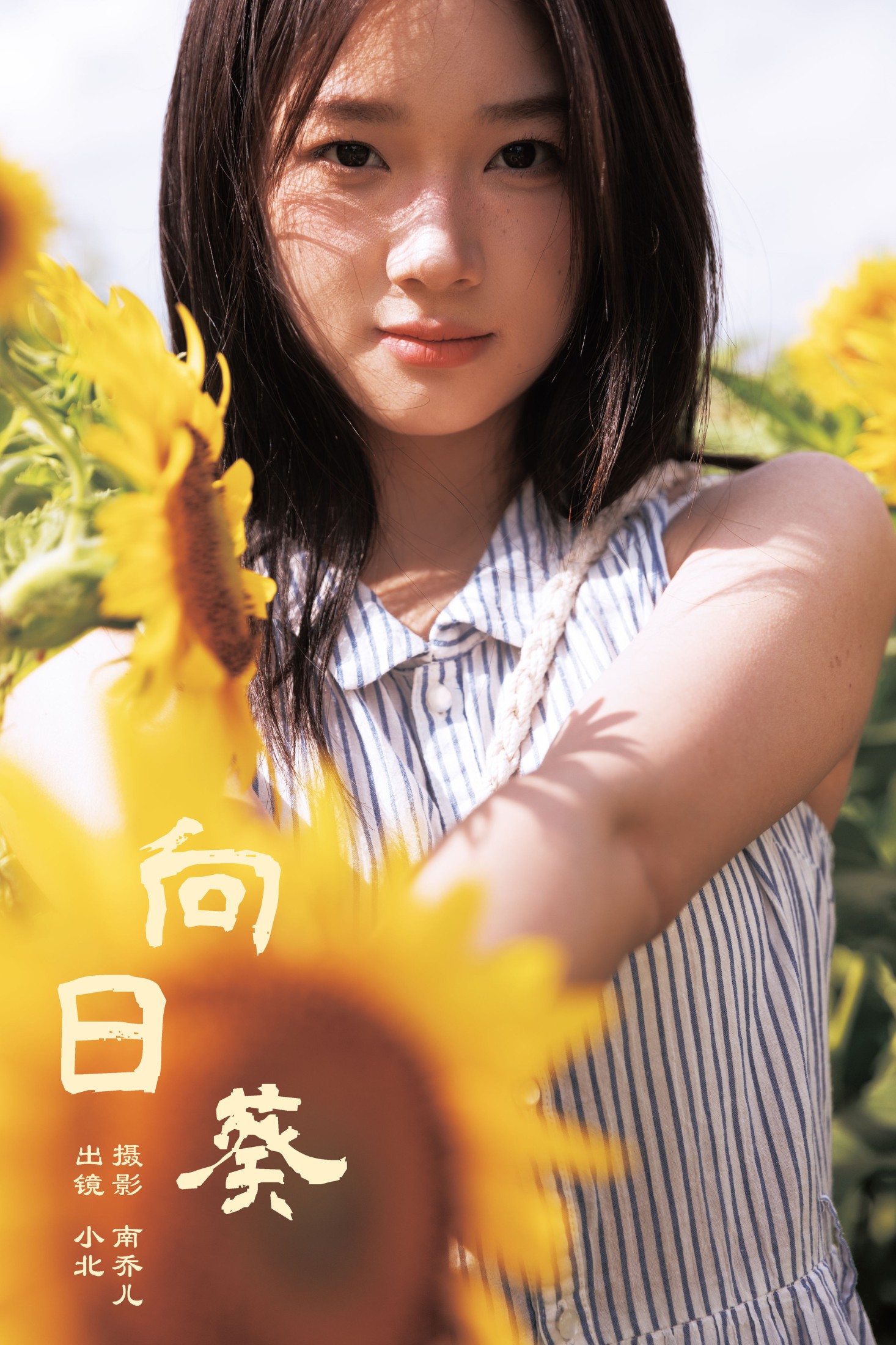 To小北 – 《向日葵》[26P] 插图1