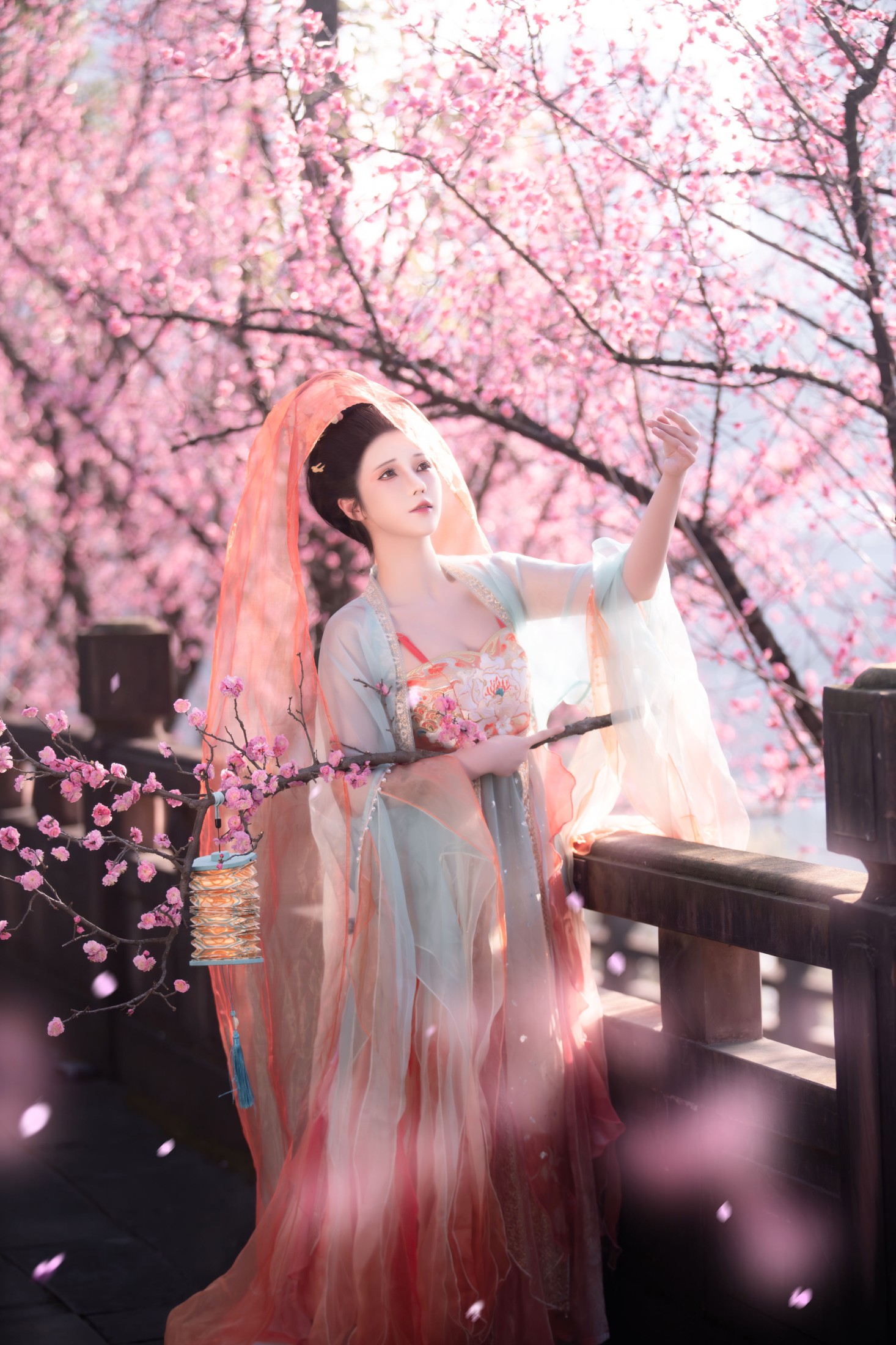 北北茉 – 《笑春风》[28P] 插图1