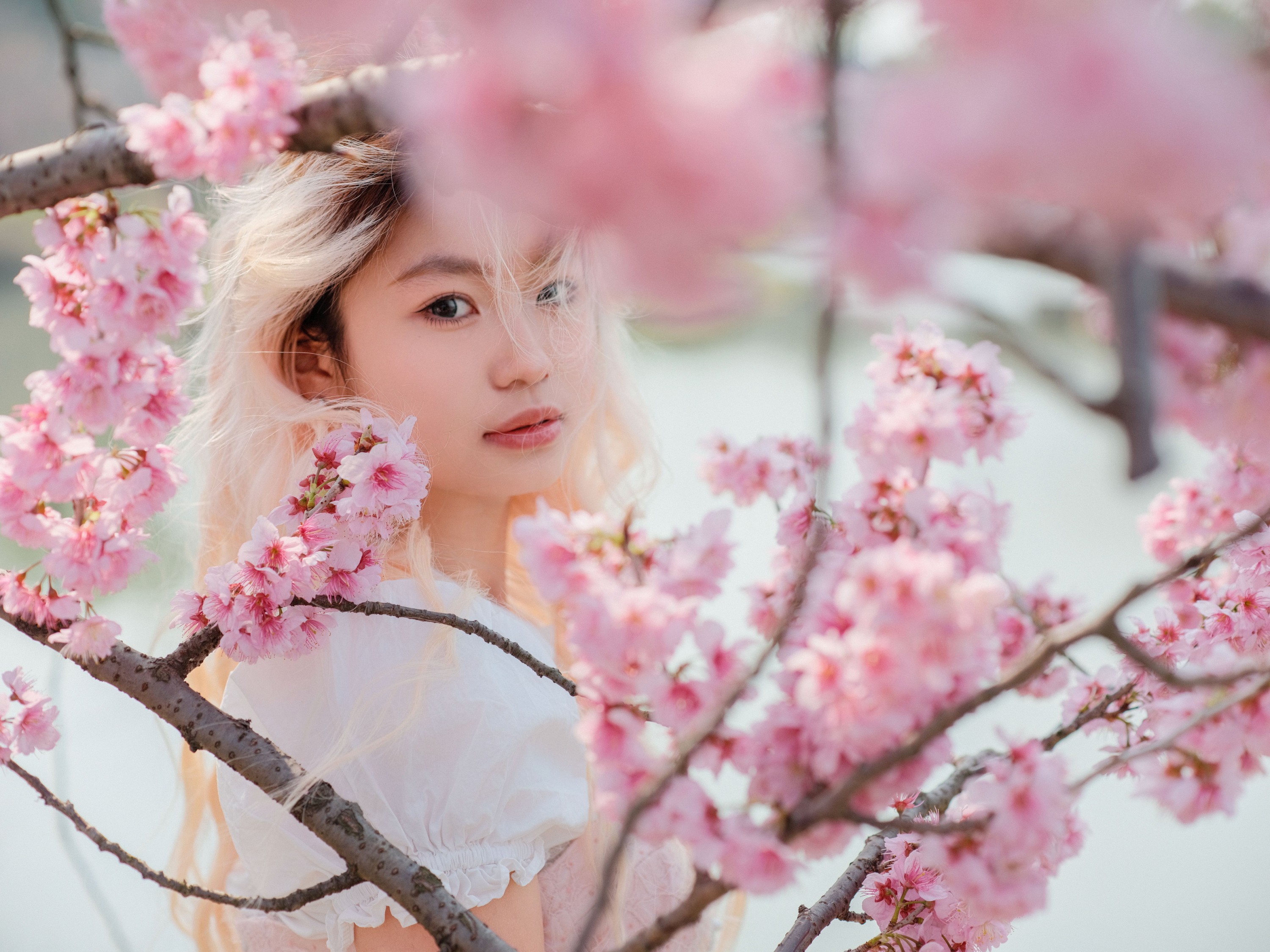 点点 – 《樱花树下》[16P] 插图1