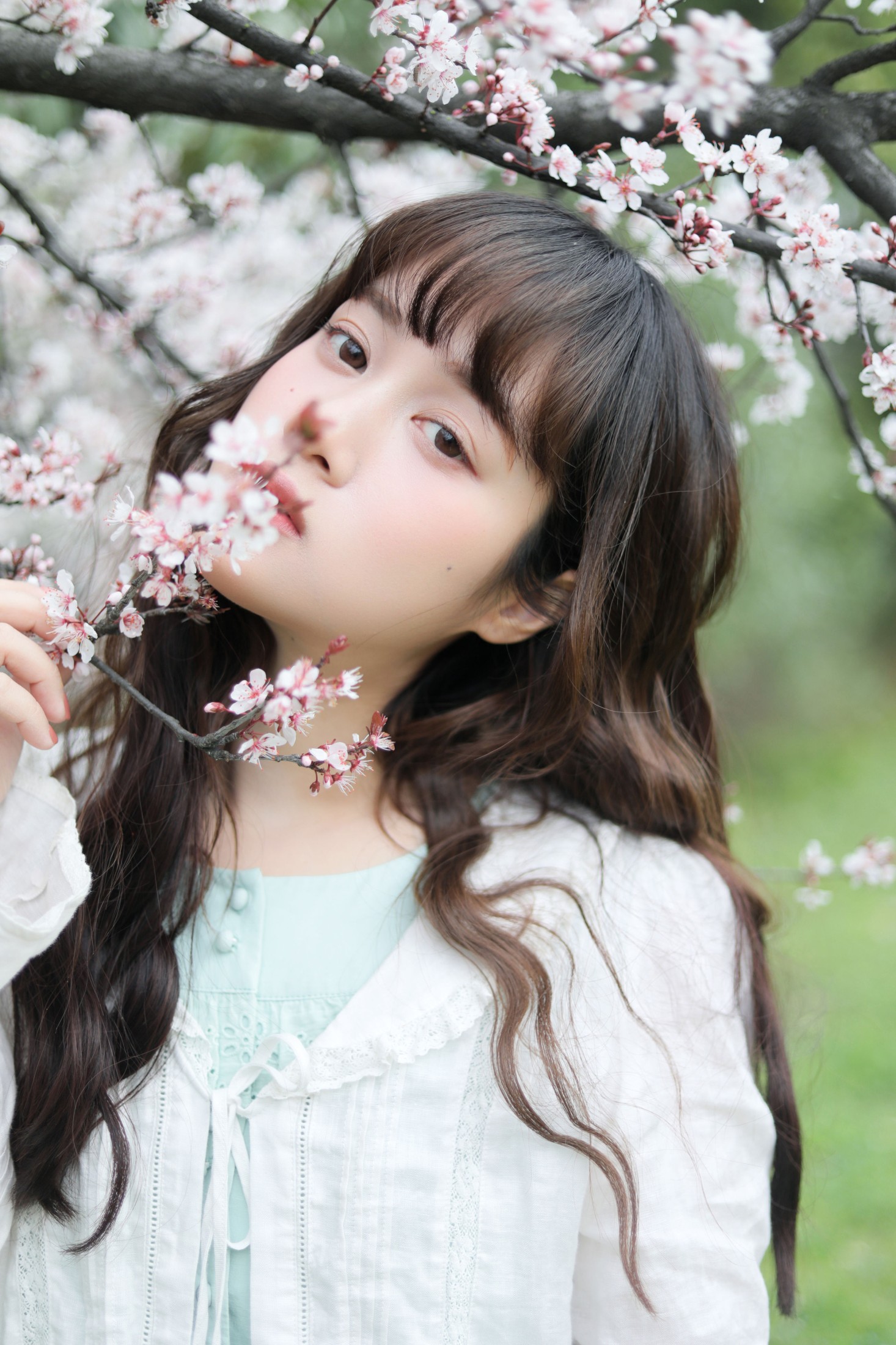 一颗虫牙 – 《春日序曲》[36P] 插图1