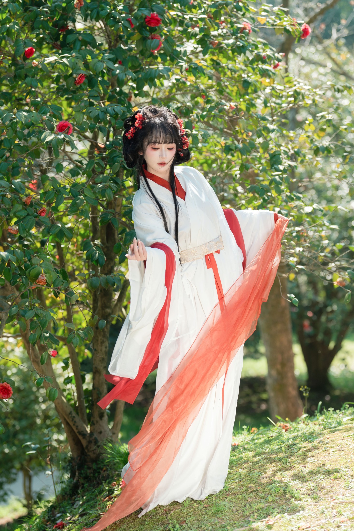 湫一只岁岁 – 《邂逅山茶花》[27P] 插图1