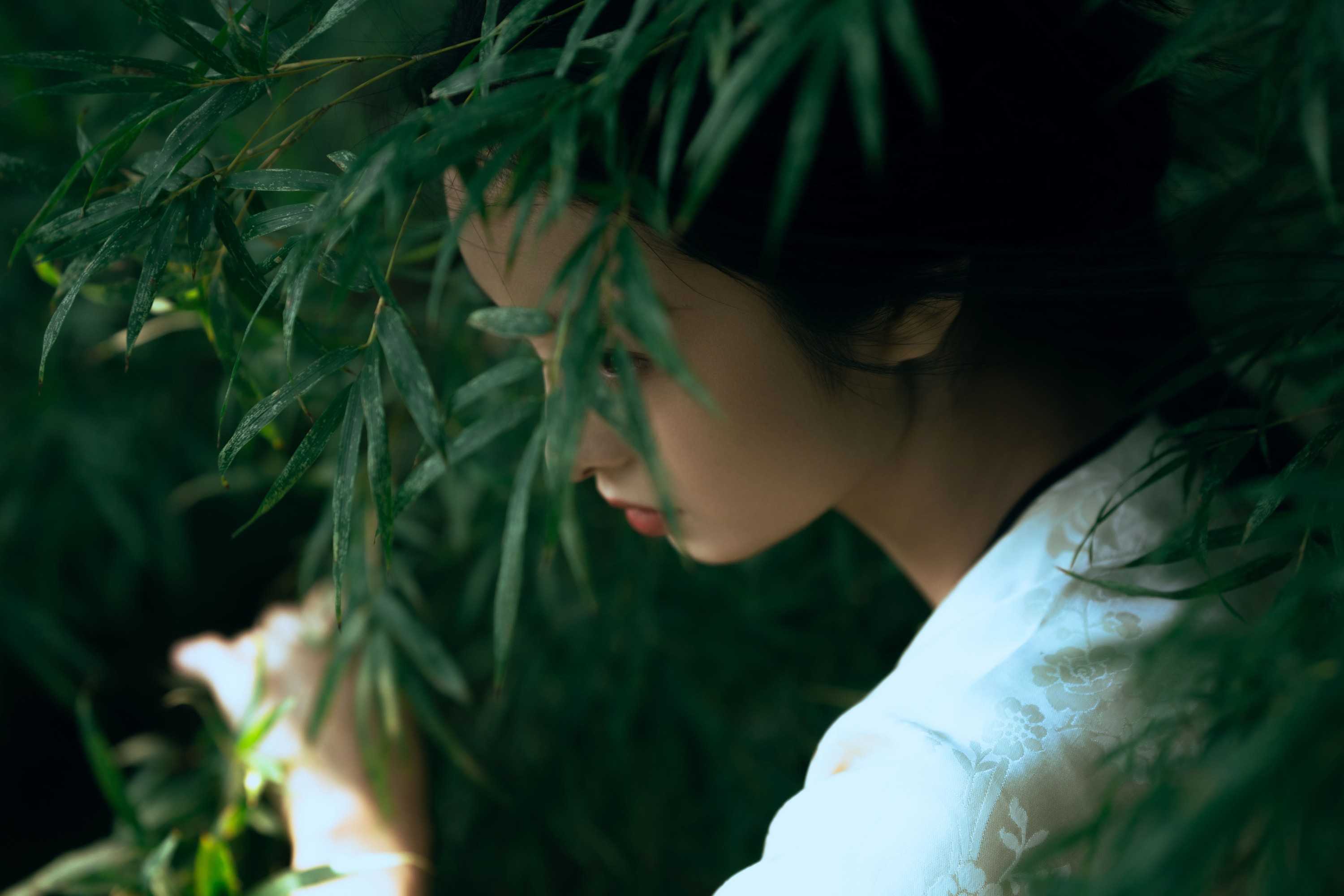 李钰_ayu – 《卧虎藏龙》[17P] 插图1