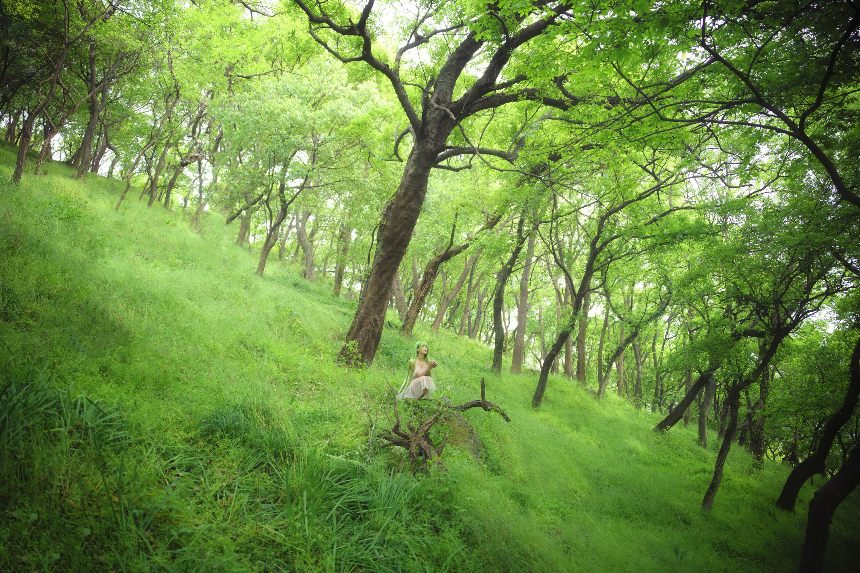 小熊 – 《万物生长》[19P] 插图3