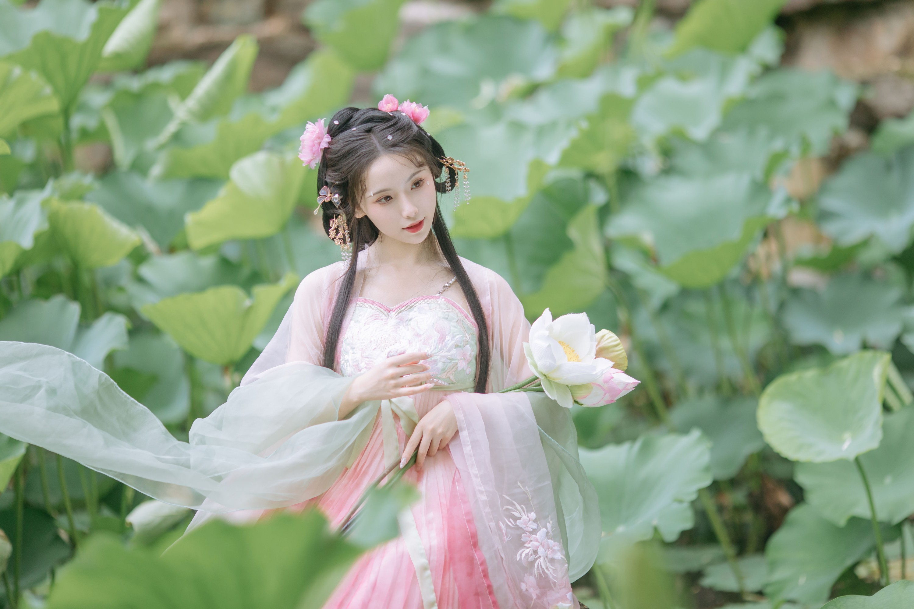 一小枝枝枝枝 – 《荷香袅袅》[18P] 插图1