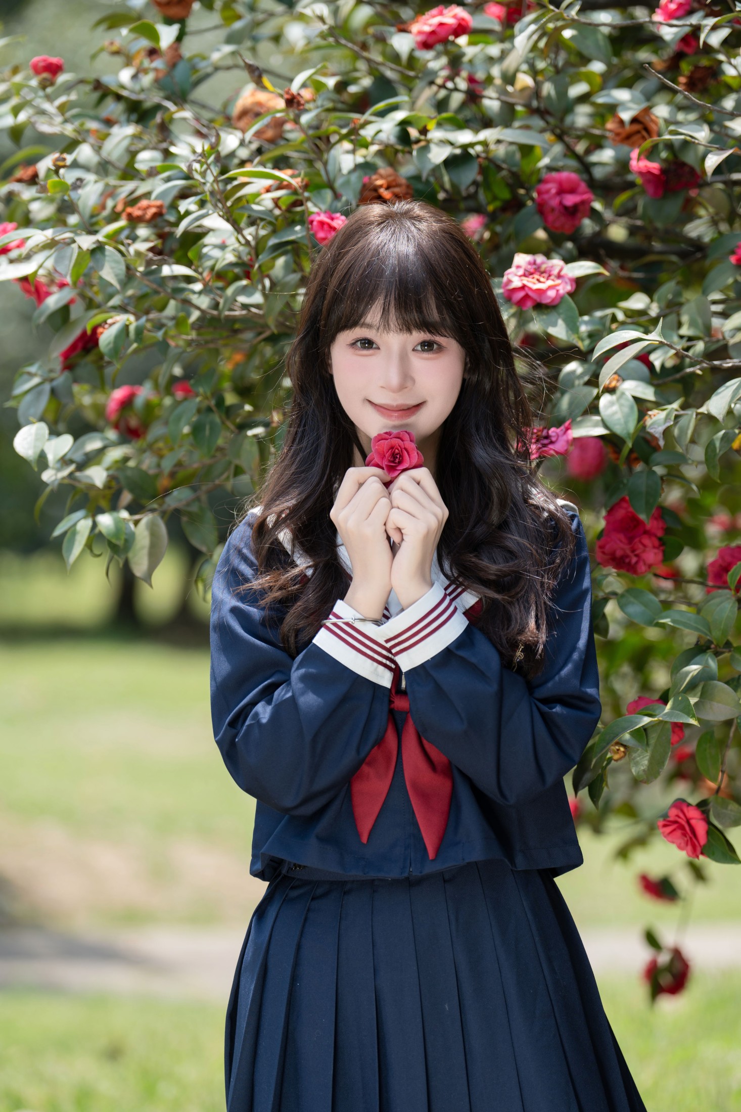 夏芋小年 – 《山茶花的花语是》[25P] 插图1
