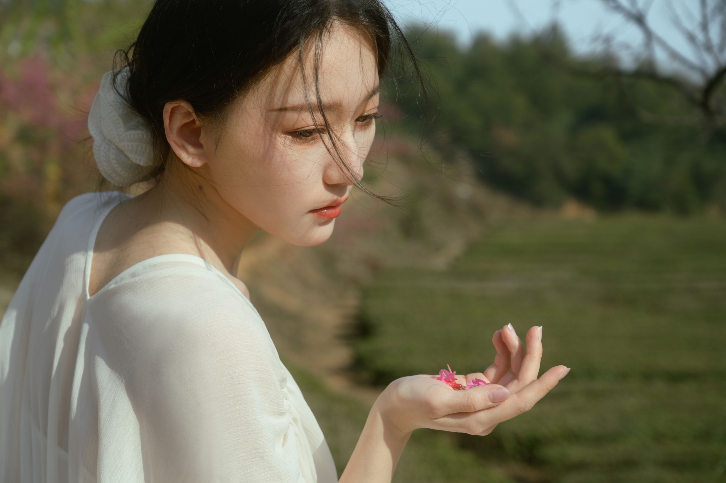 小月 – 《茶与樱》[27P] 插图1