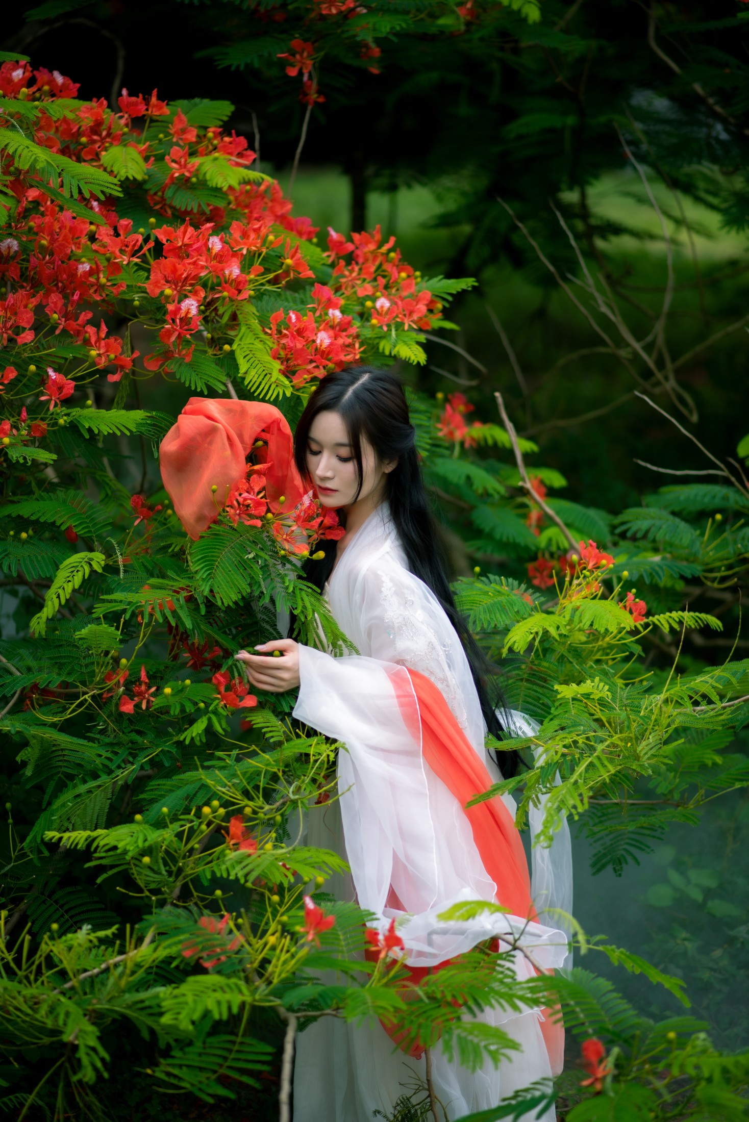 小冉 – 《凤凰花开》[18P] 插图1