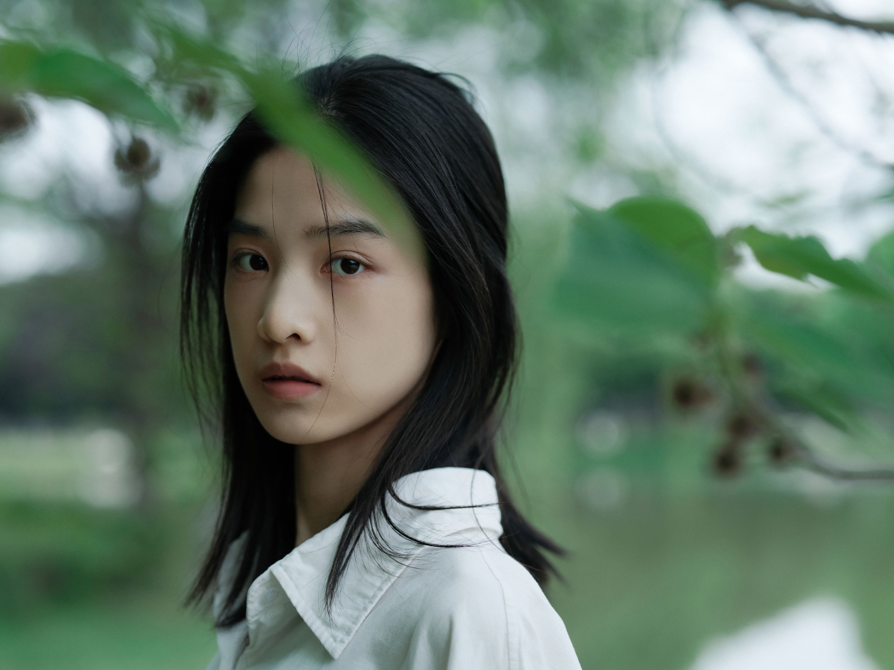 何以观 – 《无尽弦音》[35P] 插图1