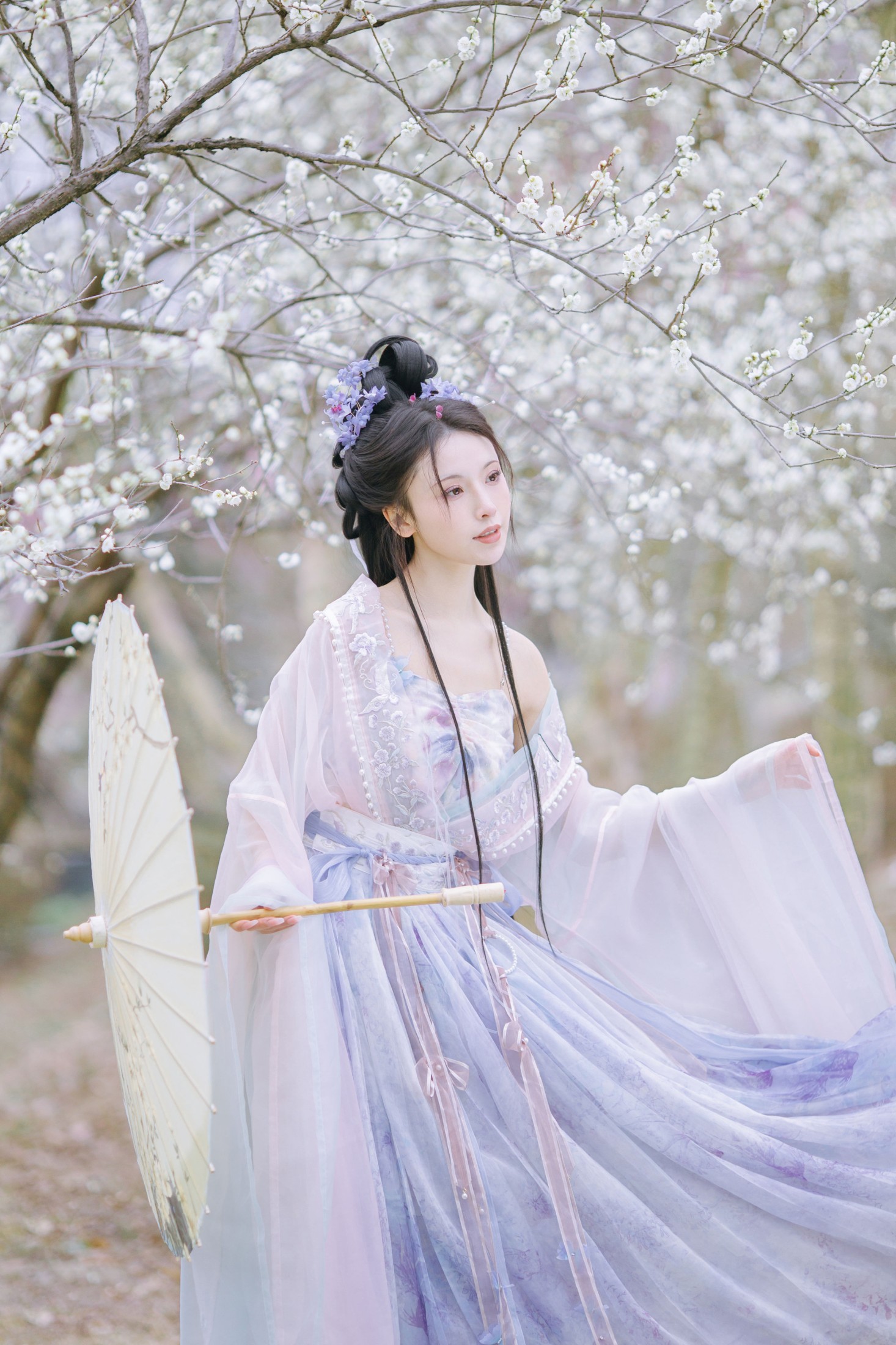 一小枝枝枝枝 – 《暗香疏影》[17P] 插图1