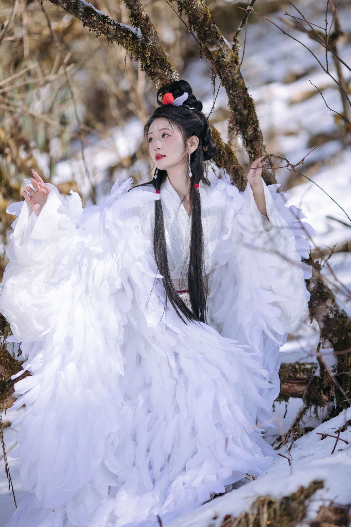 赤嫣在这里～ – 《鹤族圣女》[18P] 插图1