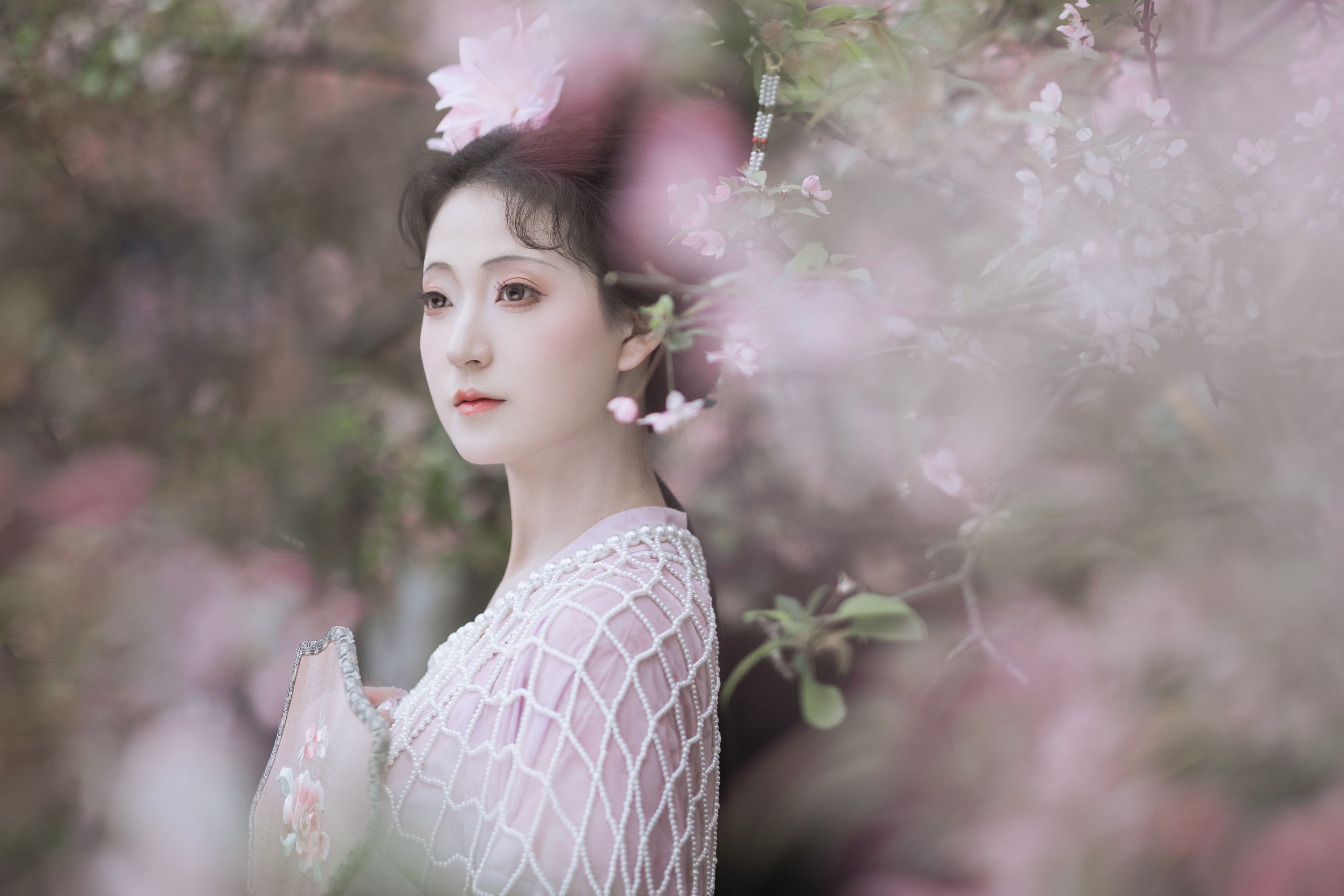 飞飞想暴富 – 《海棠依旧》[35P] 插图1