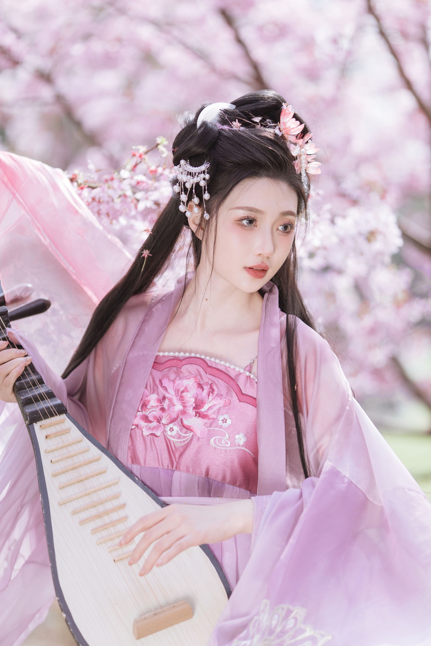 柳柳杨柳柳 – 《风起樱如雪》[18P] 插图1