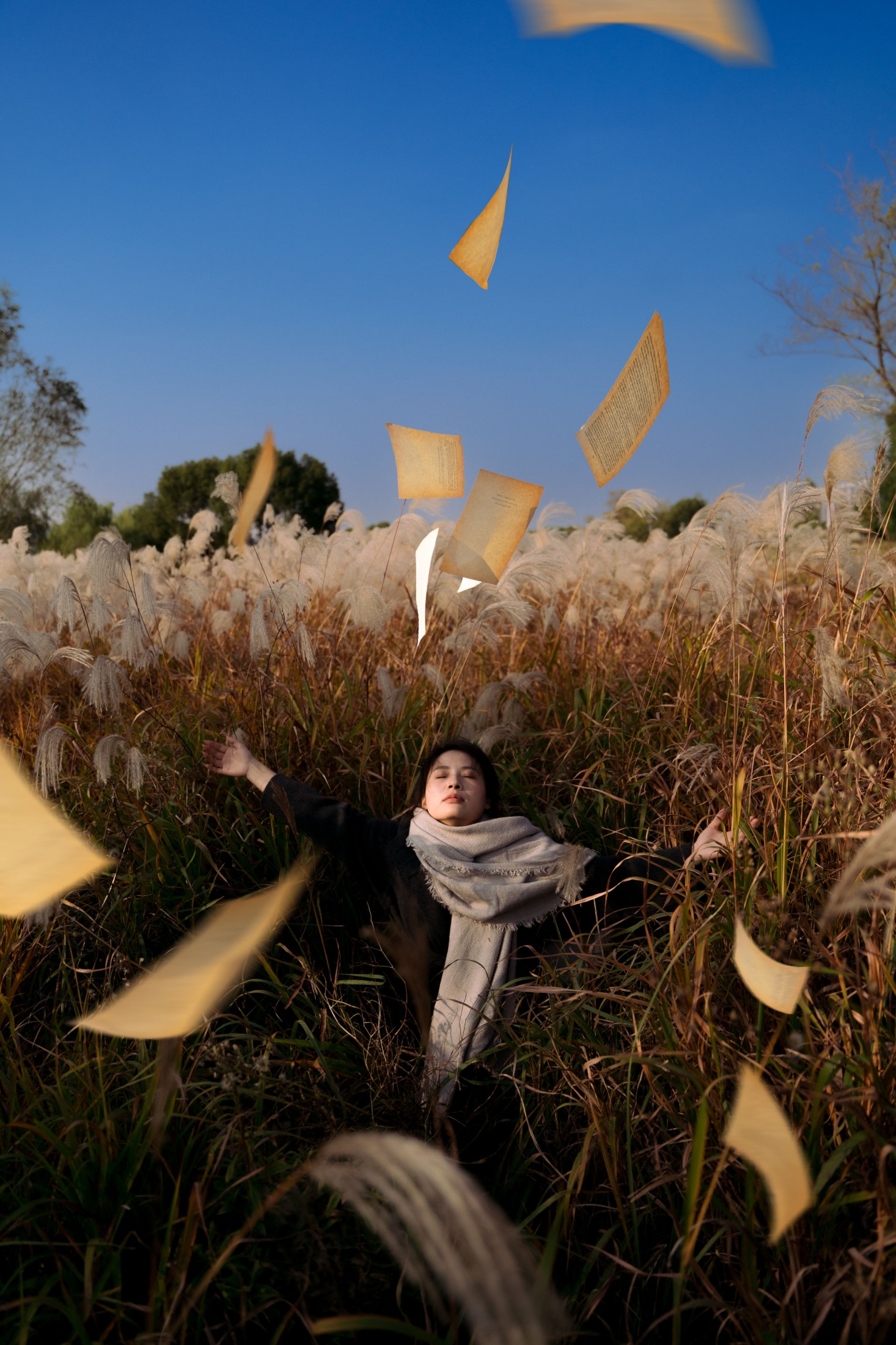 竹官 – 《秋日芦苇荡电影感写真》[13P] 插图1