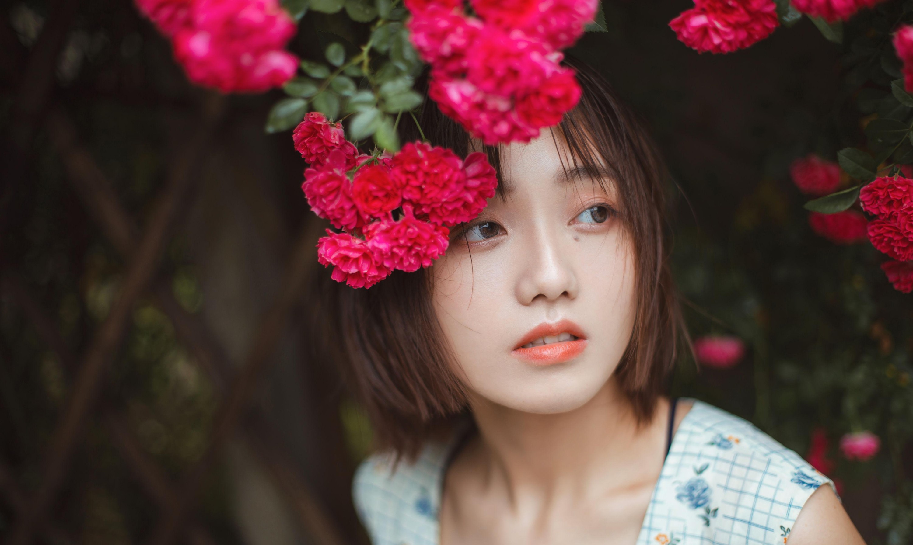 echo – 《青雉》[18P] 插图1