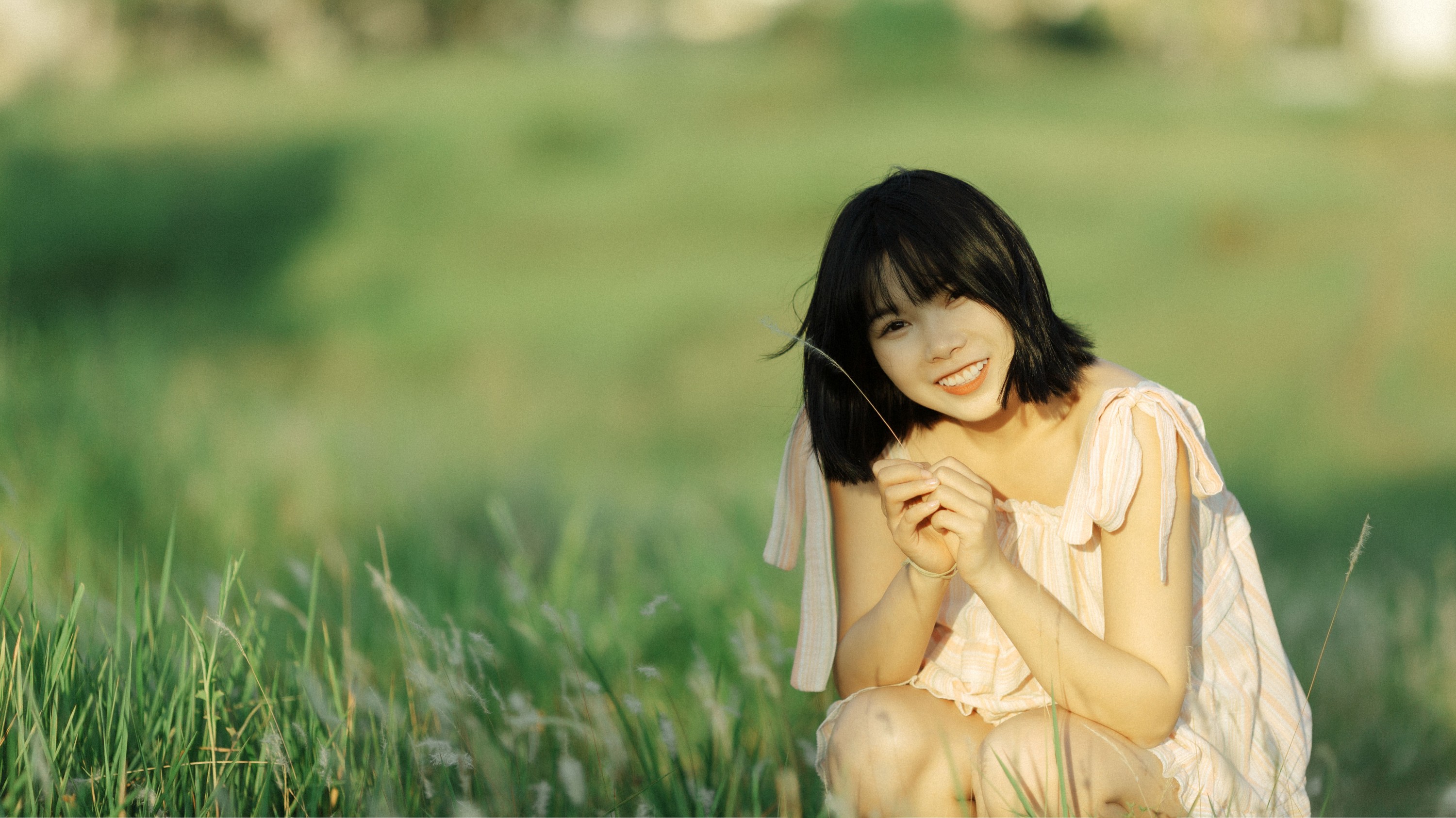 Y～ – 《风是自由的》[20P] 插图1